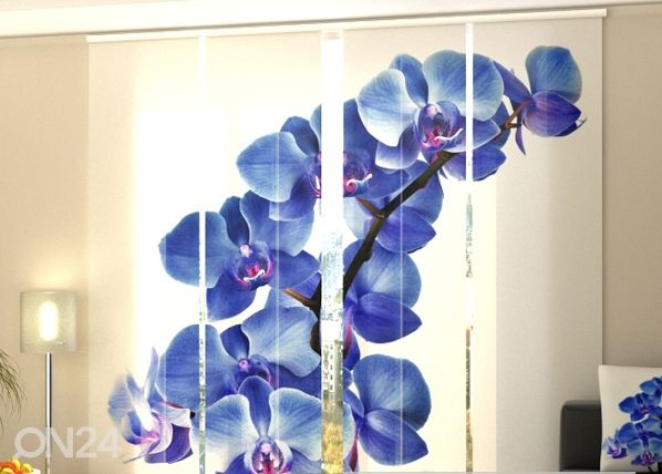 Läbipaistev paneelkardin Blue Orchids 240x240 cm