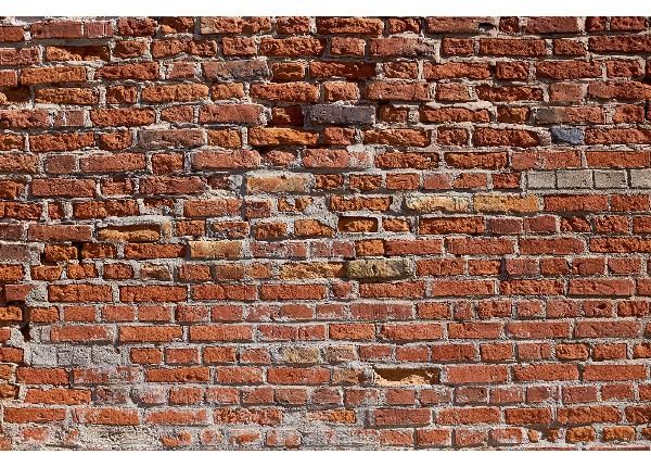 Fliis fototapeet Texture Of An Old Brick Wall