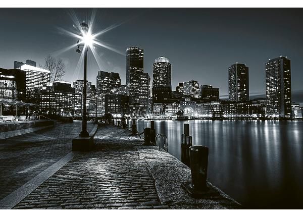 Isekleepuv fototapeet Boston