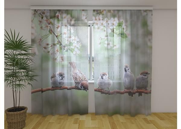 Läbipaistev fotokardin Small Birds on a Blooming Tree 240x220 cm
