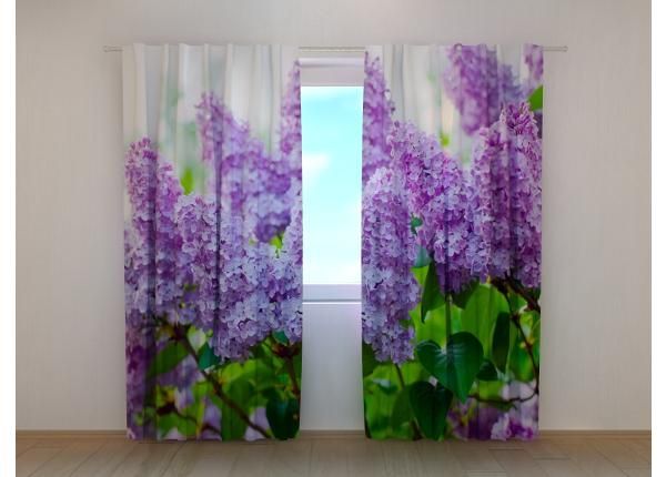Pimendav fotokardin Garden Lilac 240x220 cm