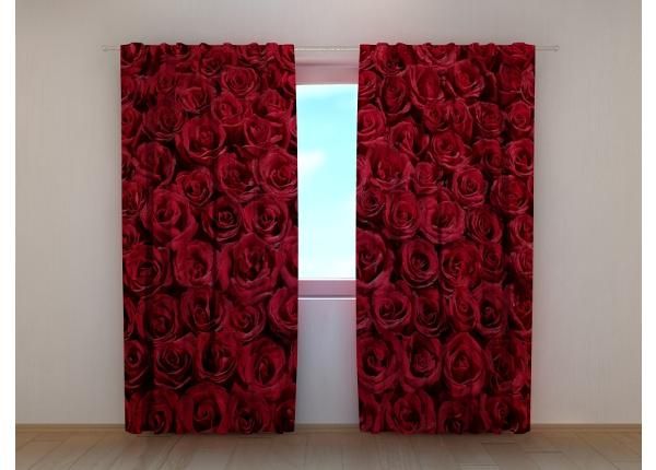Poolpimendav fotokardin Lovely Red Roses 240x220 cm