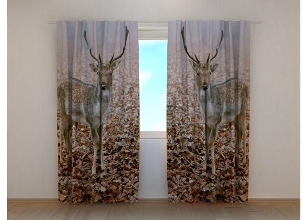 Poolpimendav fotokardin Young Deer in Autumn Forest 240x220 cm
