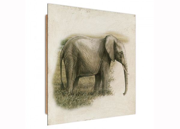 Seinapilt Painted Elephant 3D 30x30 cm