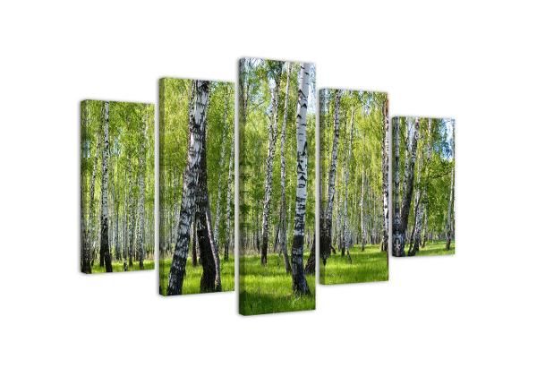 Viieosaline seinapilt Birch trees