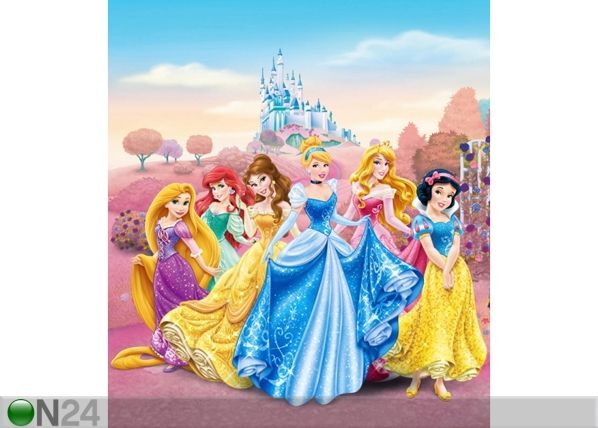 Fliis-fototapeet Disney Princess 180x202 cm