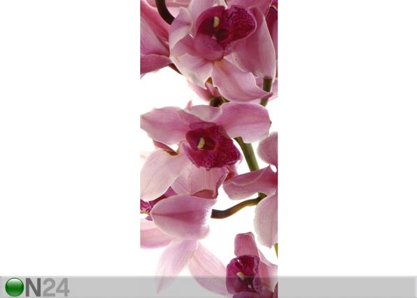 Fliis-fototapeet Orchids 90x202 cm