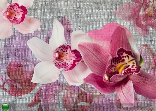 Fliis-fototapeet Pink orchids 360x270 cm