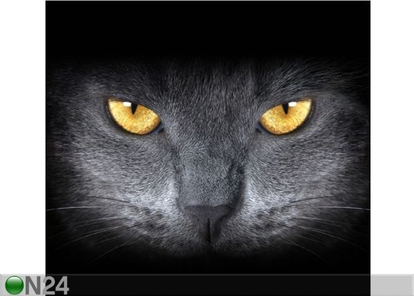 Fotokardin Black Cat, 280x245 cm