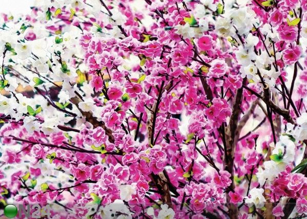 Fotokardin Flowers 3, 280x245 cm
