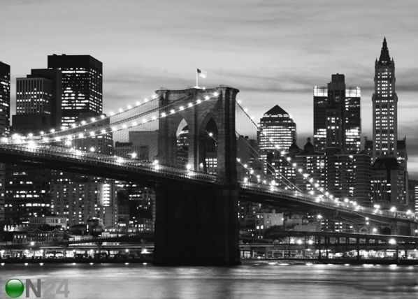 Fototapeet Brooklyn Bridge black and white 360x254 cm
