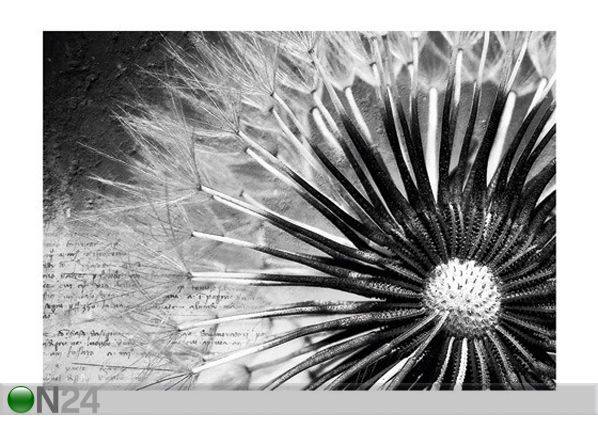 Fototapeet Dandelion poems 400x280 cm
