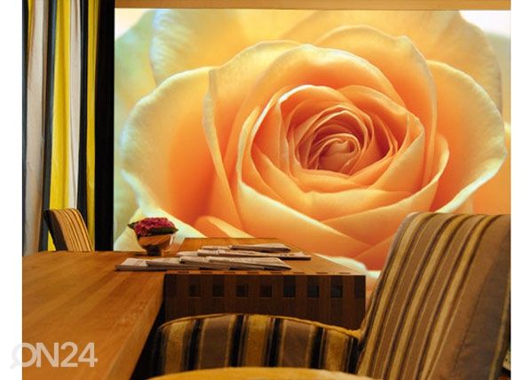 Fototapeet The orange rose 400x280 cm