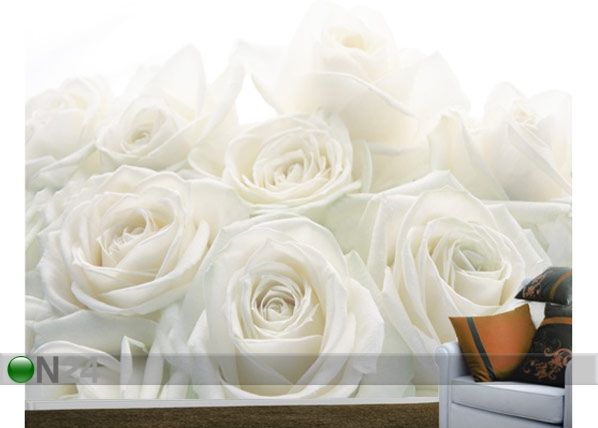 Fototapeet Wedding roses 400x280 cm