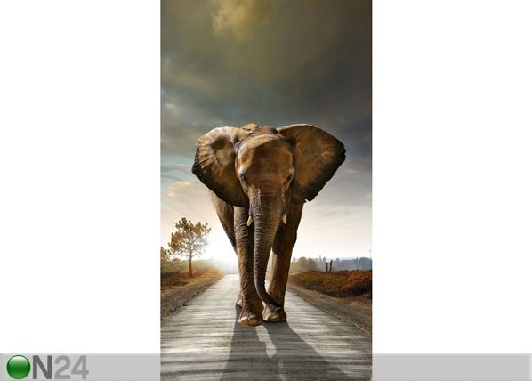 Poolpimendav fotokardin Elephant 140x245 cm
