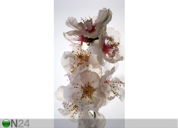 Poolpimendav fotokardin Flowers 140x245 cm