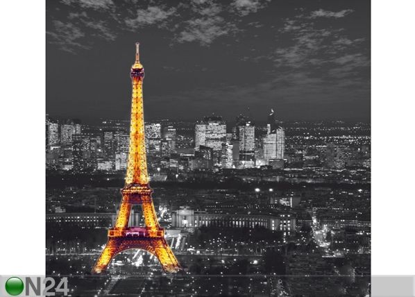 Poolpimendav fotokardin Paris by night 280x245 cm