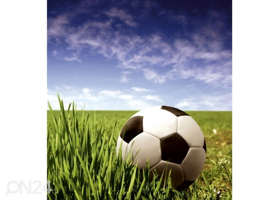Fliis fototapeet Soccer ball 150x250 cm suurendatud