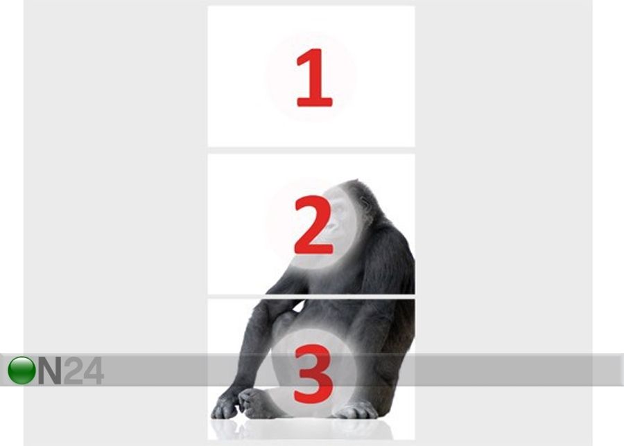 Fototapeet Gorilla Thought 100x210cm suurendatud