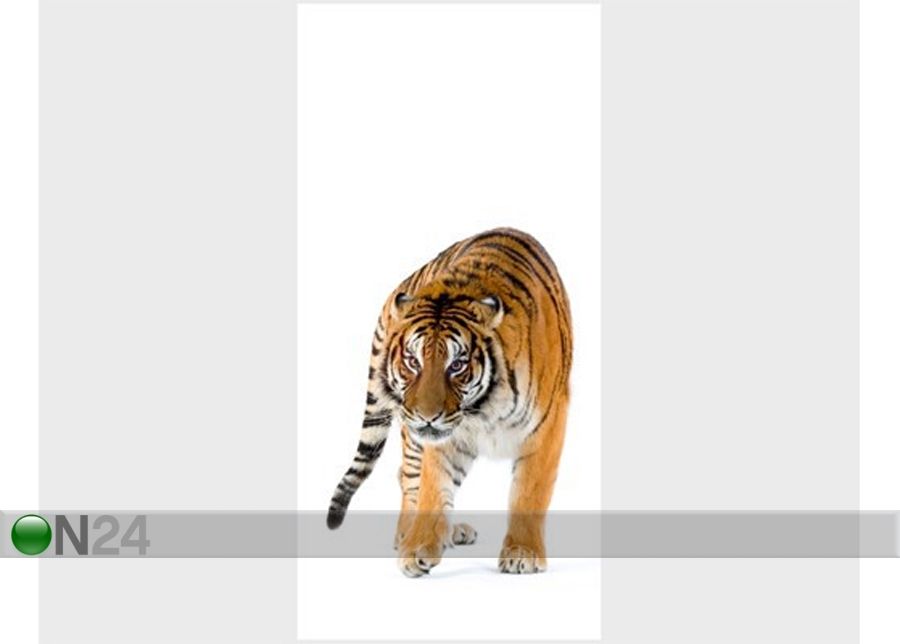 Fototapeet Royal Tiger 100x210cm suurendatud