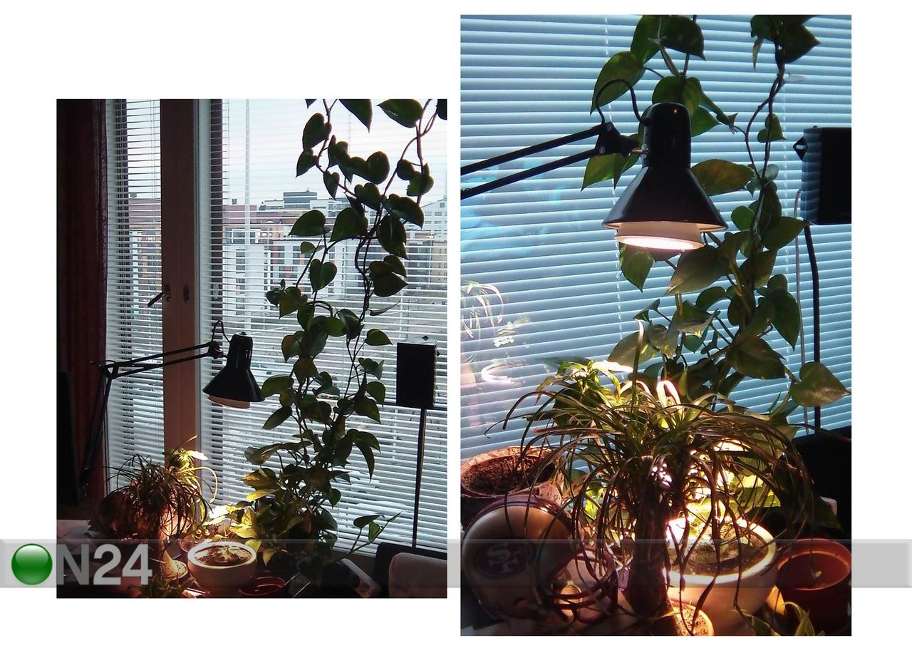 LED lisavalgustus taimedele suurendatud