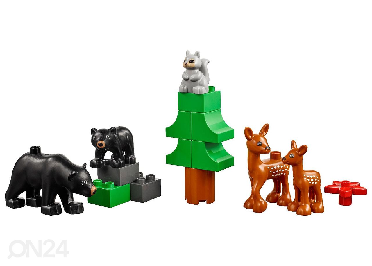 LEGO Education Loomad suurendatud