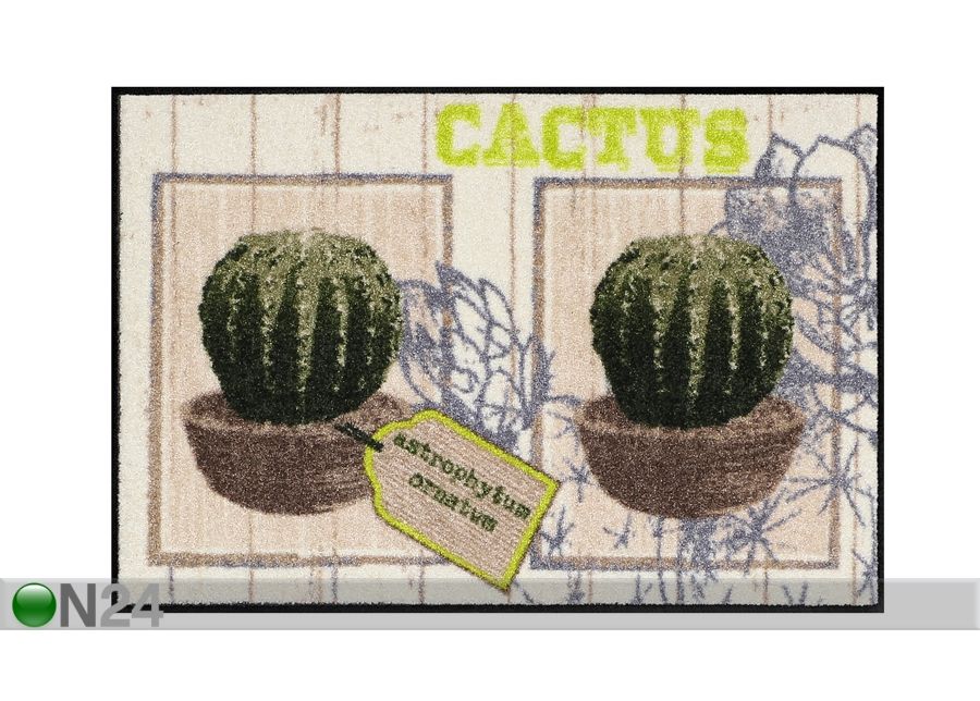 Vaip Cactus 50x75 cm suurendatud