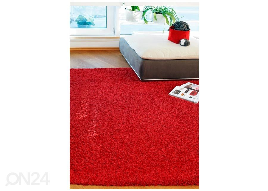 Vaip Spice 300x400 cm suurendatud