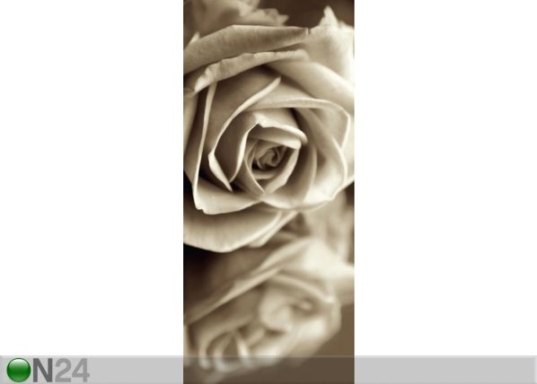 Fliis-fototapeet Black and white rose 90x202 cm