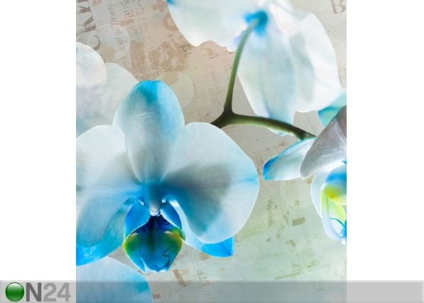 Fliis-fototapeet Blue flowers 180x202 cm