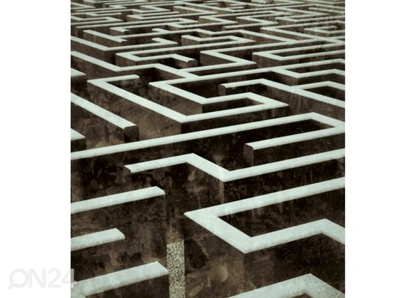 Fliis fototapeet Labyrinth 150x250 cm