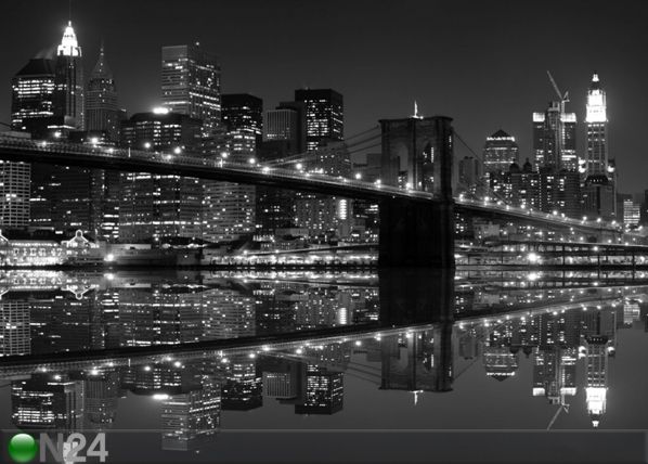 Fliis-fototapeet New York in black and white 360x270 cm