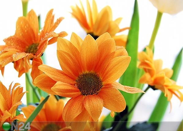 Fliis-fototapeet Orange flowers 360x270 cm