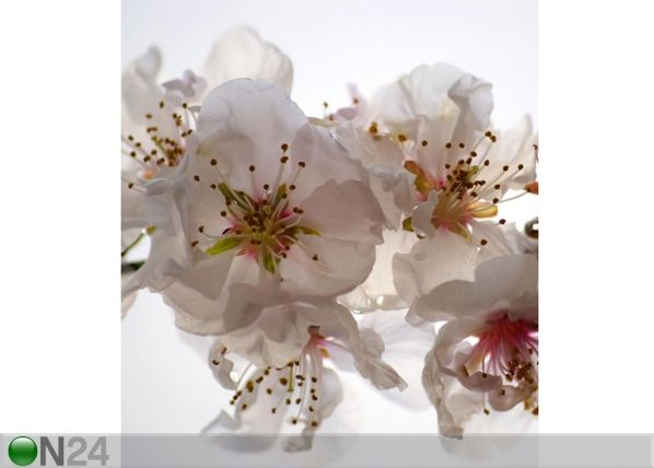 Fliis-fototapeet Pink flowers 180x202 cm