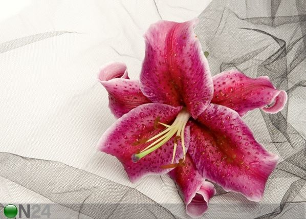 Fliis-fototapeet Red orchid 360x270 cm
