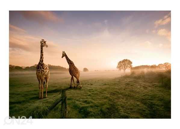 Fliis-fototapeet Surreal Giraffe 190x288 cm