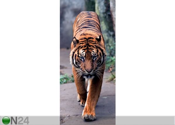 Fliis-fototapeet Tiger 90x202 cm