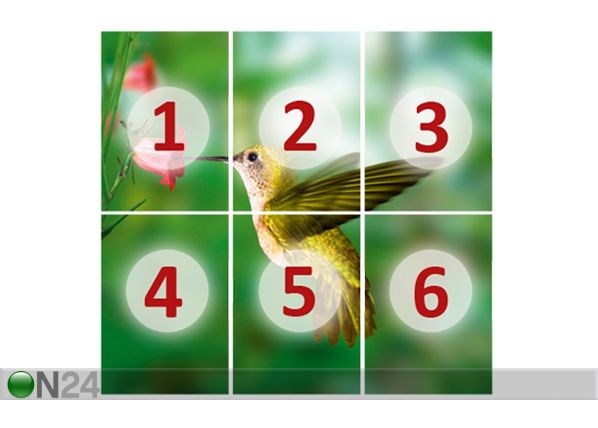 Fototapeet Yellow hummingbird 300x280 cm