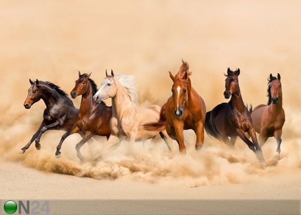 Pimendav fotokardin Herd of horses 280x245 cm