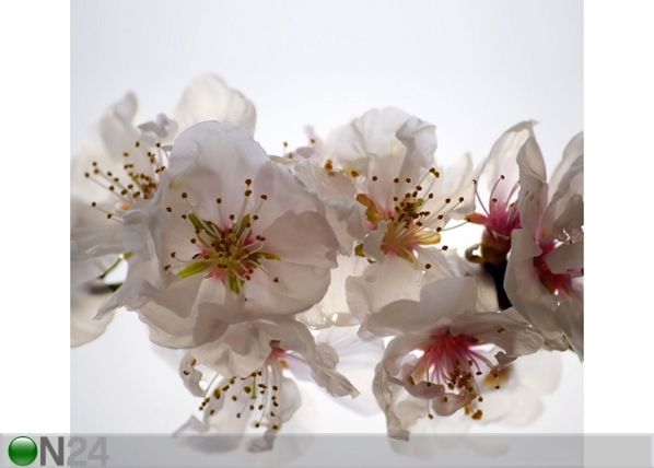 Poolpimendav fotokardin Flowers 280x245 cm