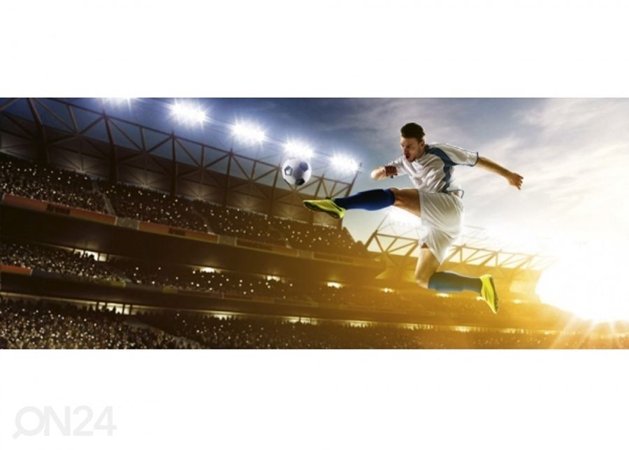 Fliis fototapeet Soccer player 150x250 cm suurendatud