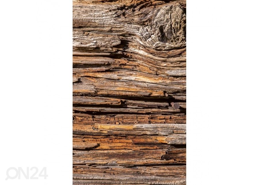 Fliis fototapeet Tree bark 150x250 cm suurendatud