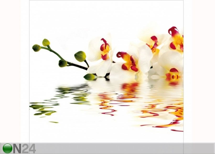 Fliis fototapeet Vivid Orchid Waters suurendatud