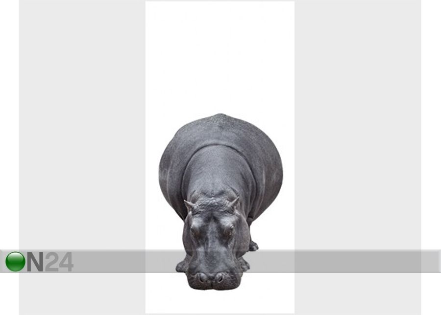 Fototapeet Big Hippo 100x210cm suurendatud