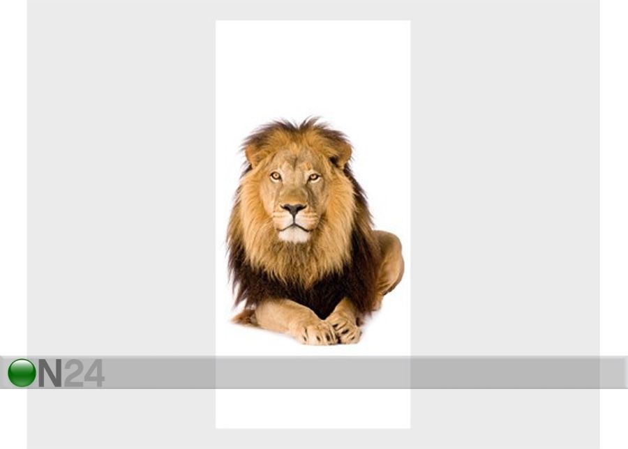 Fototapeet The Lion King 100x210cm suurendatud