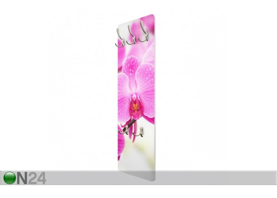 Seinanagi Close-up of orchid Slender 139x46 cm suurendatud