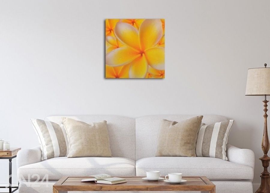 Seinapilt Frangipani flower 3D 30x30 cm suurendatud