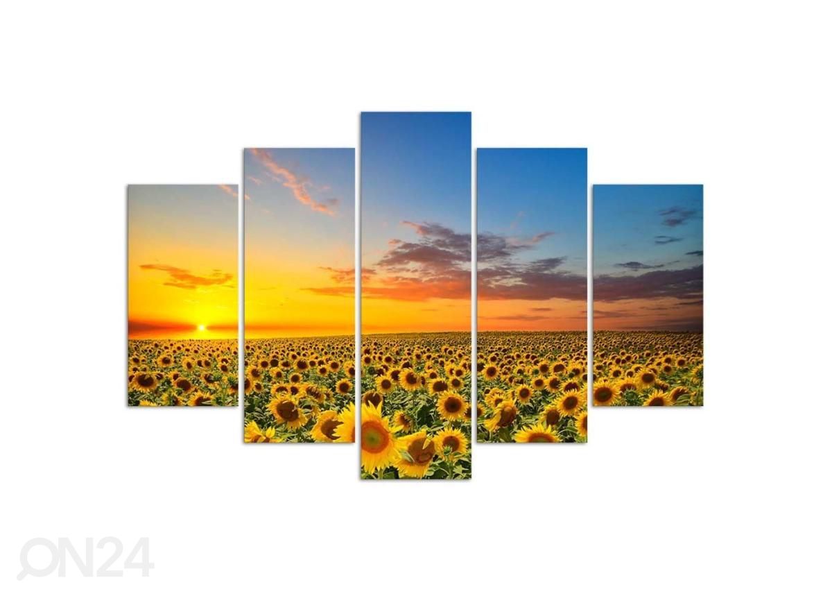 Viieosaline seinapilt Sunflowers in the meadow 100x70 cm suurendatud