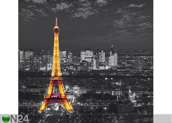 Fotokardin Paris by night, 280x245 cm