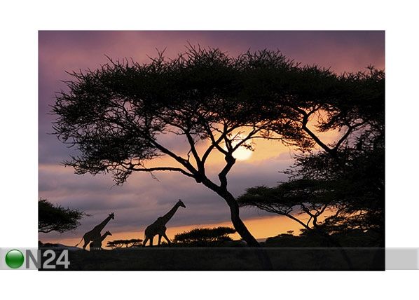 Fototapeet African safari 400x280 cm